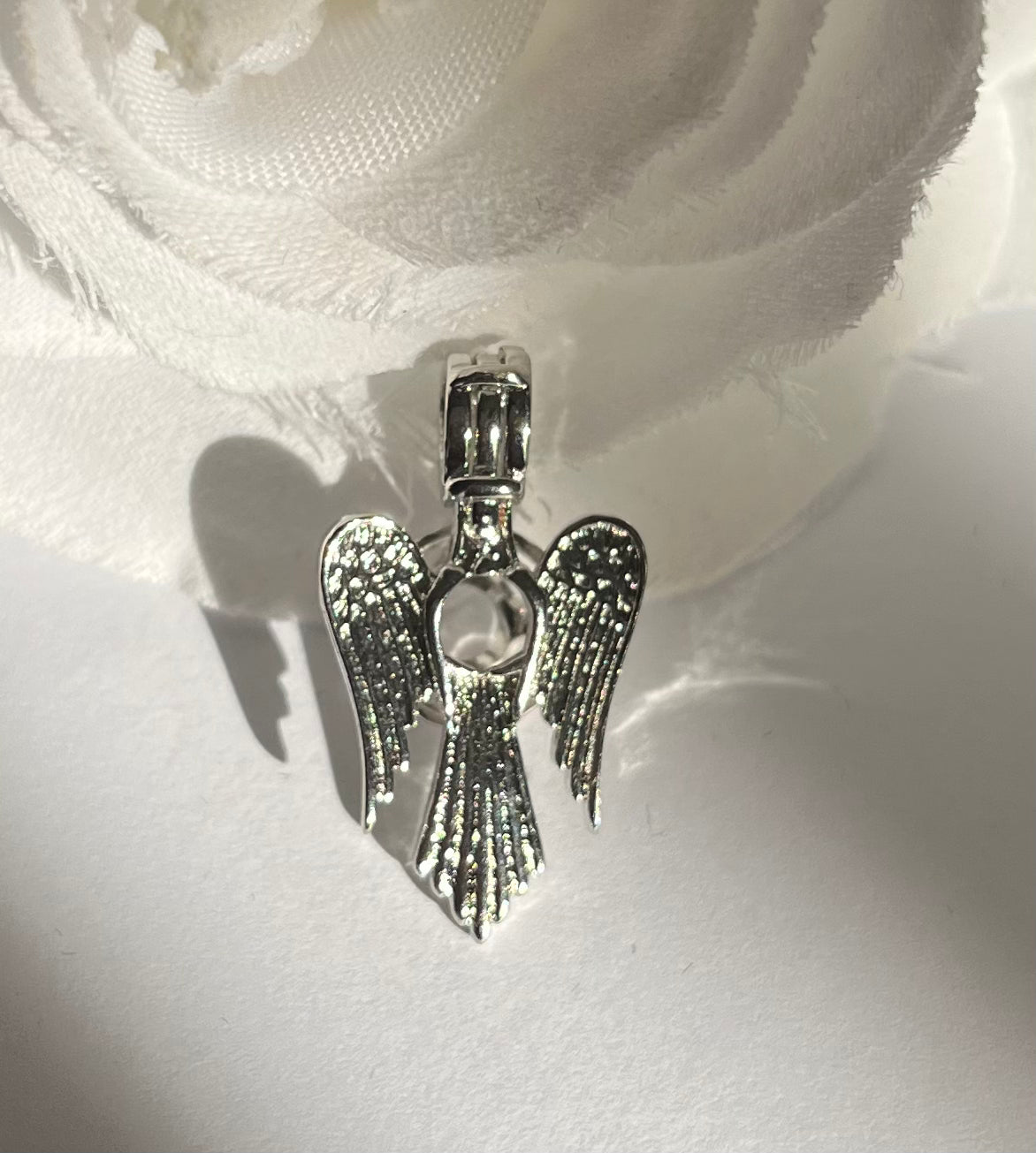 Angel Wings Cage