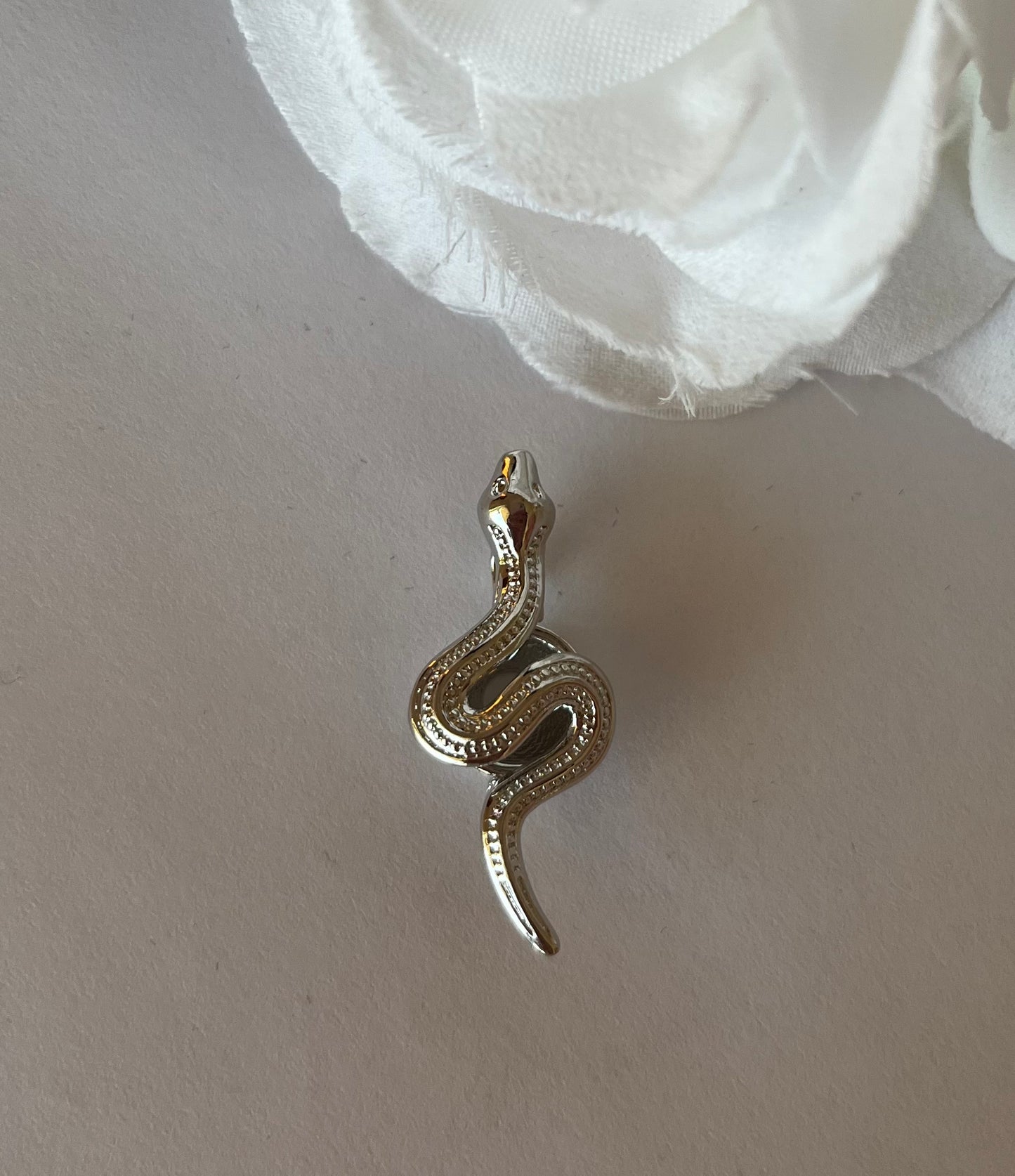 Snake Cage