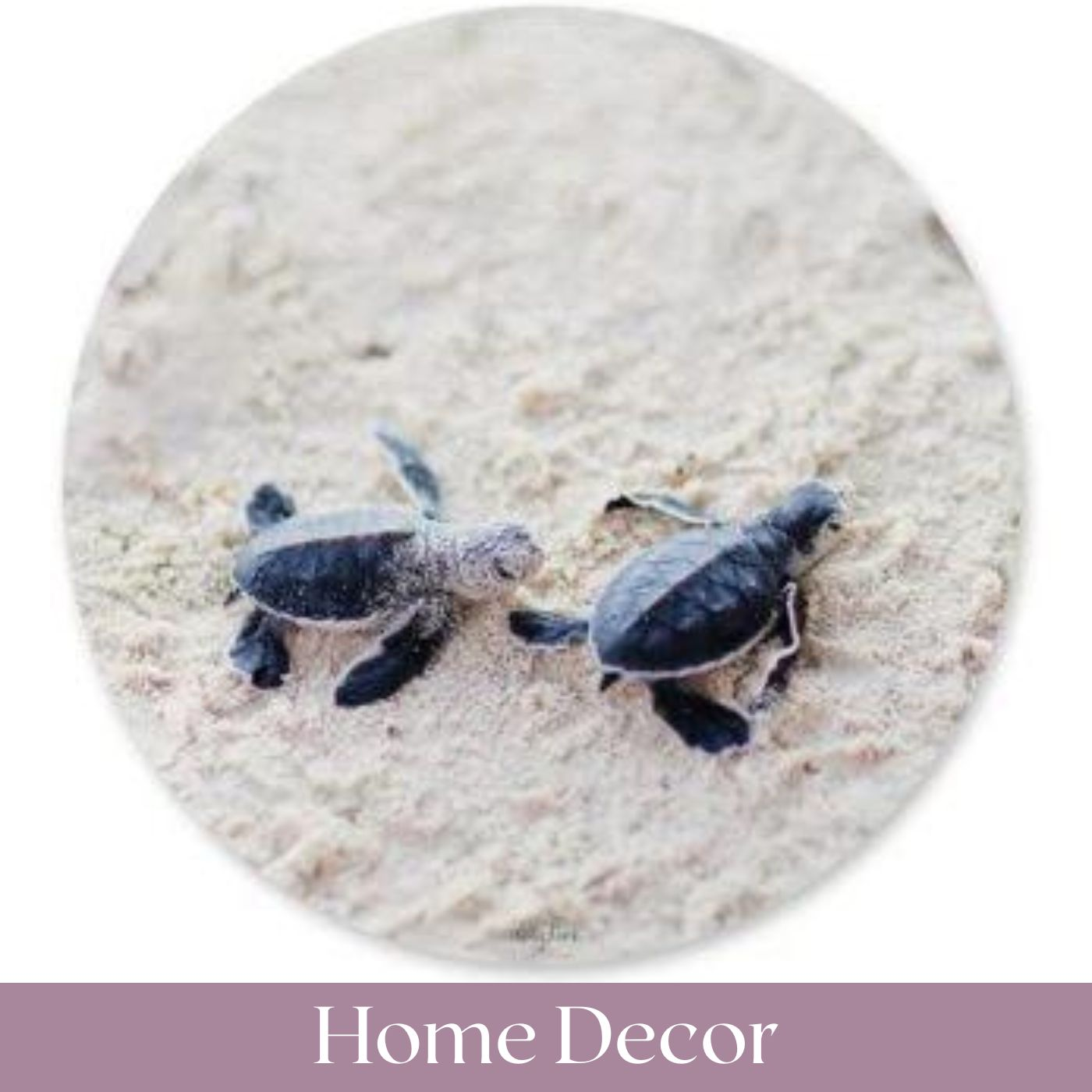 Home Decor