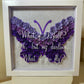 Butterfly Shadowbox