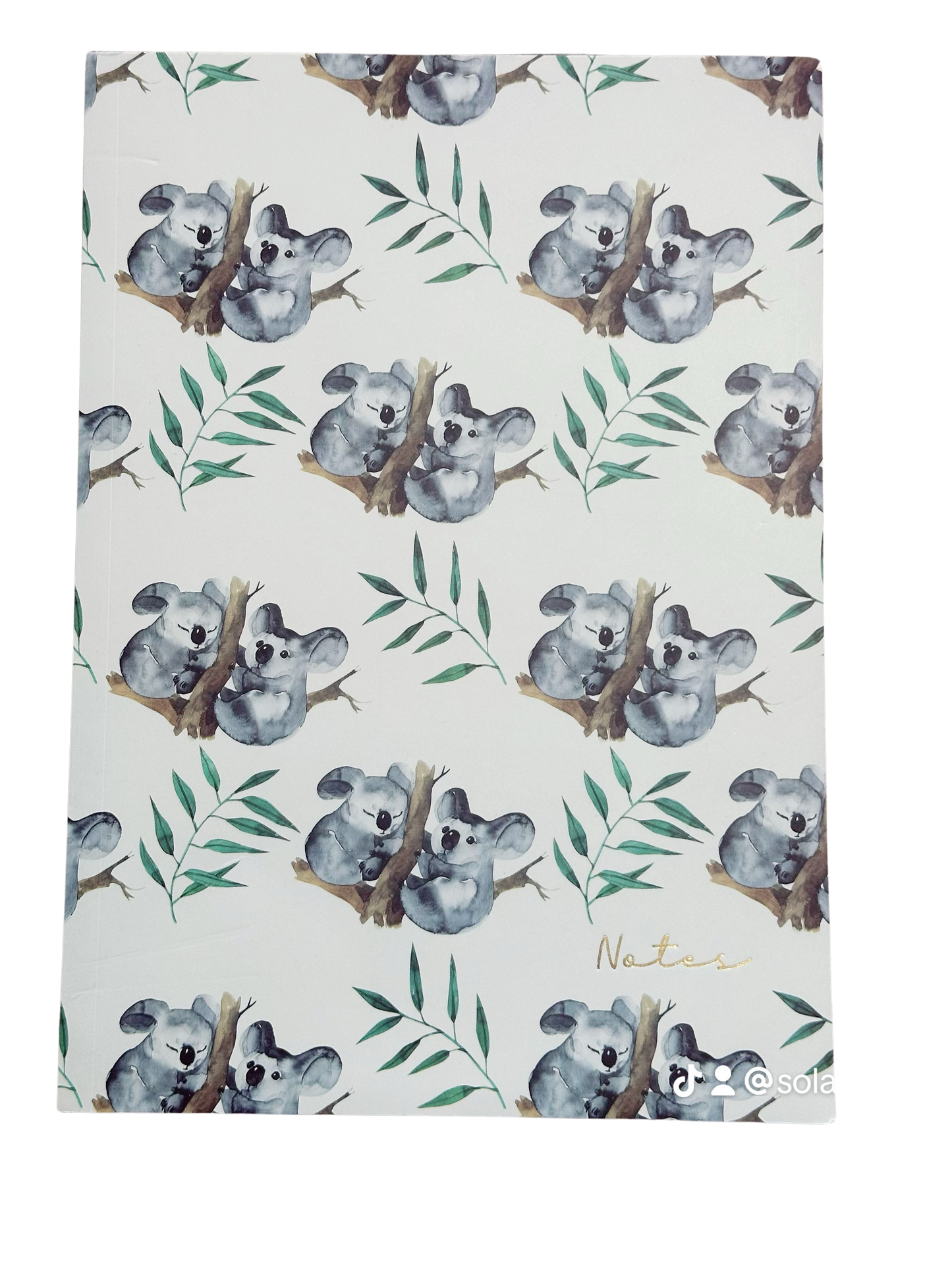 Notebook - Koalas