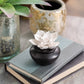 Gardenia Porcelain Diffuser