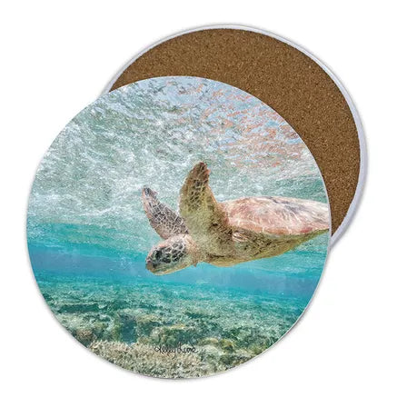 Turtle Cove Coasters Set of 4